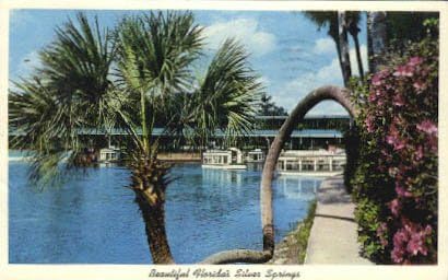 Silver Springs, Florida Képeslap